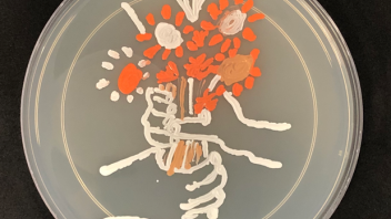 Yeast Art