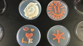 Yeast art made by middle school kids