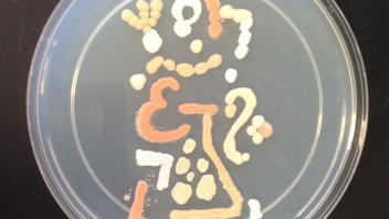 Yeast Art
