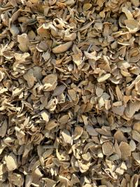 Almond hulls at an almond processing facility in California, 2024 (photo by K. Boundy-Mills)